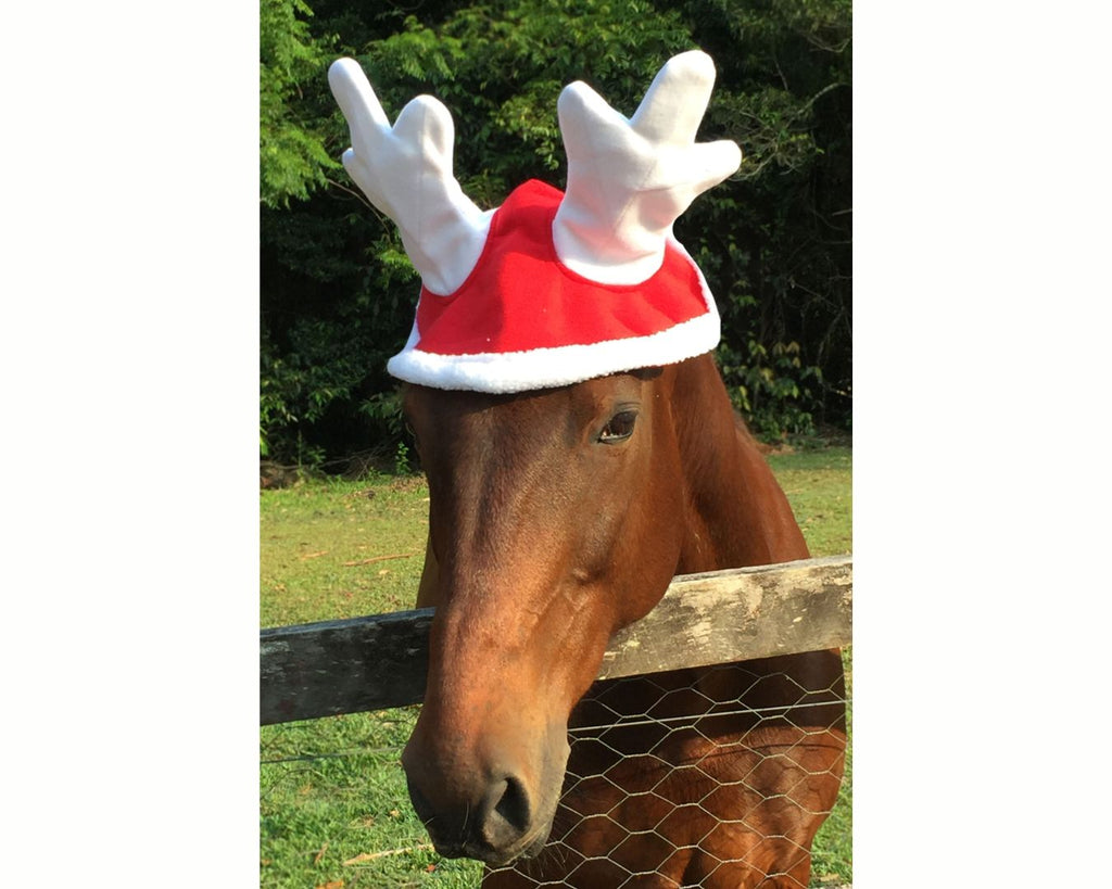 Christmas Reindeer Antlers for Horses. Festive holiday accessory for equestrians.