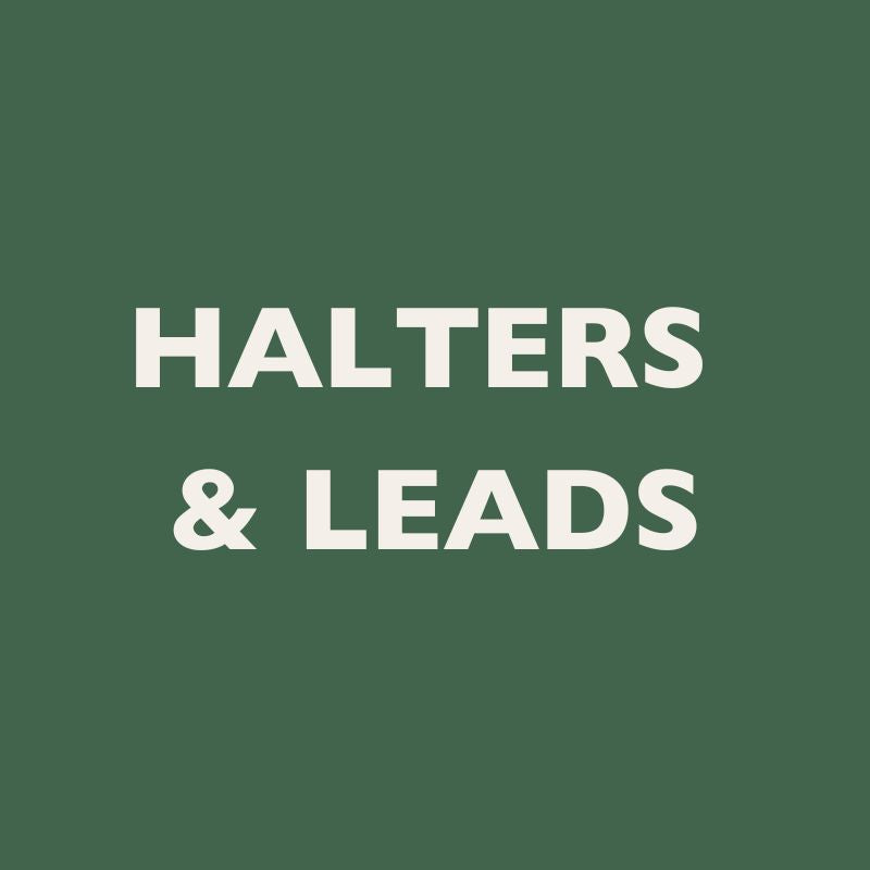 buy horse halters and leads at discounted prices 