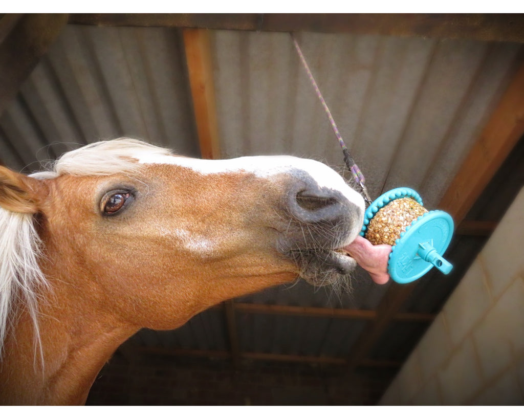 Likit Granola Horse Treat: Tasty berry-flavored lick with corn, grain, barley, and oat flakes. Designed for use with Likit Toys. 550g treat size. Mixed berry flavour