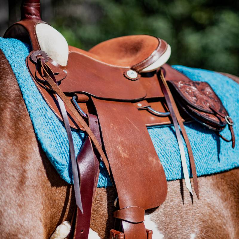 buy saddle pad Australia, best saddle pad 