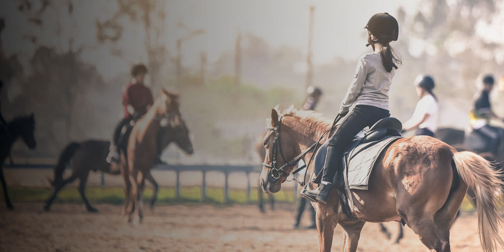 Horseback online riding shop