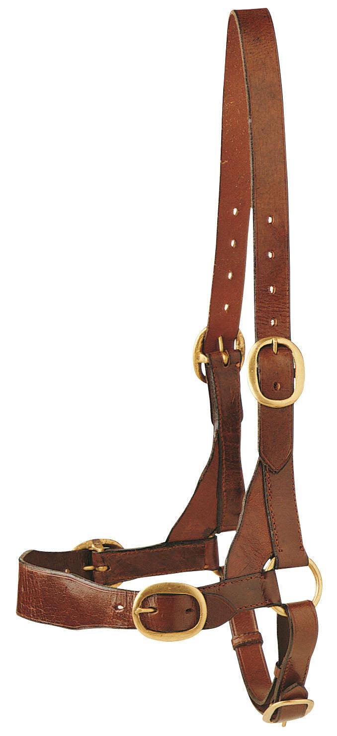 brown leather bull halter reference configuration
