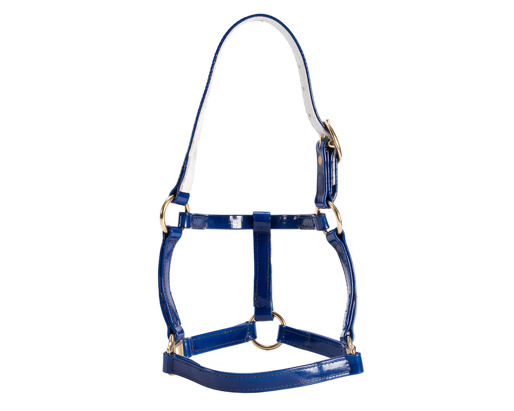 scaled-down halter expertly crafted with high-quality materials to ensure durability and comfort for your precious pony or foal