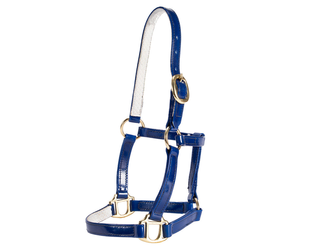 scaled-down halter expertly crafted with high-quality materials to ensure durability and comfort for your precious pony or foal