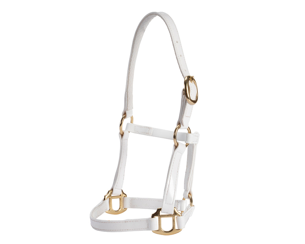 Horse Sense Mini Halter - scaled-down halter expertly crafted with high-quality materials to ensure durability and comfort for your precious pony or foal