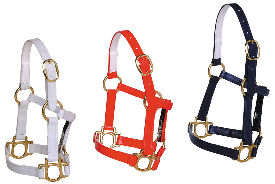 scaled-down halter expertly crafted with high-quality materials to ensure durability and comfort for your precious pony or foal - various colours