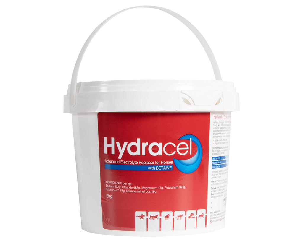 Hydracel Electrolyte Replacer