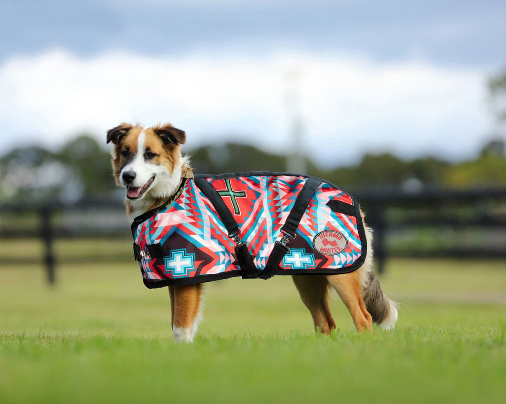 Thermo Master Supreme Dog Coat - Aztec