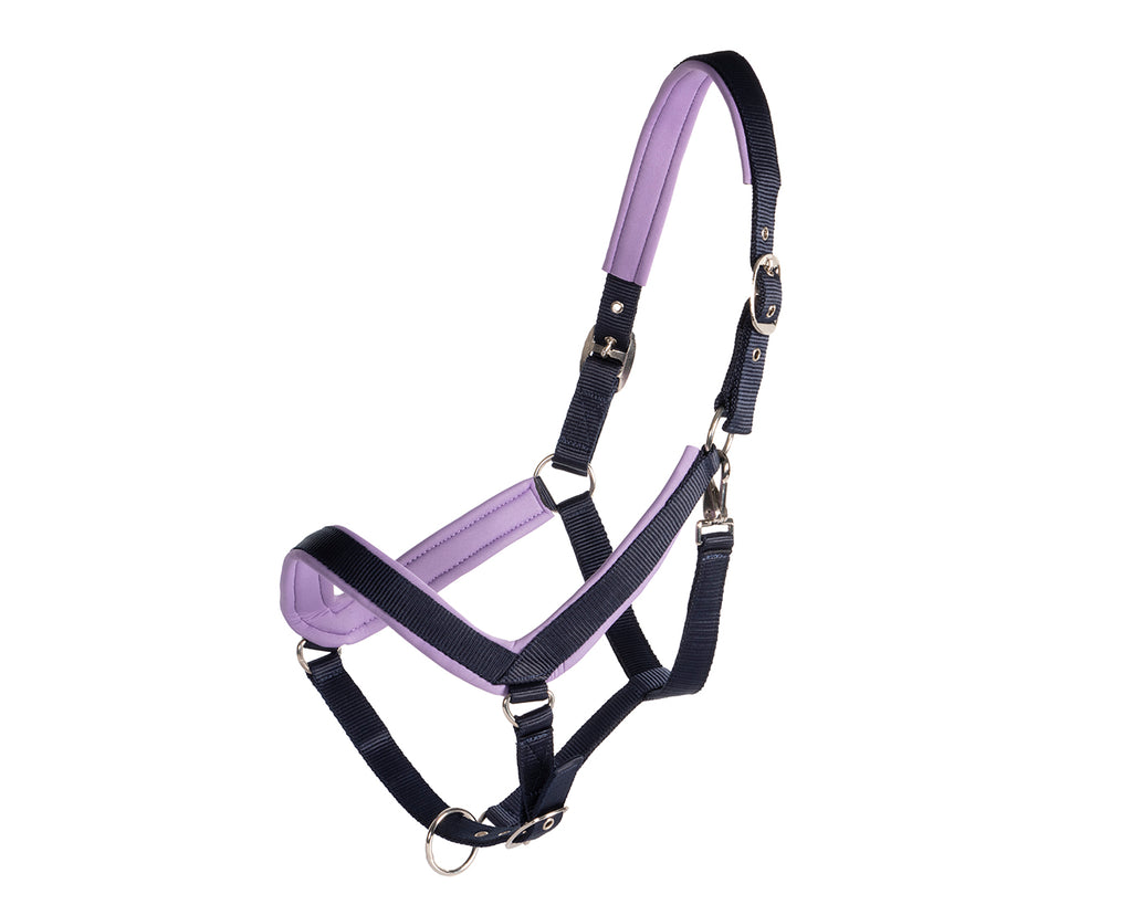 Rancher Neoprene Padded Halter: A comfortable and durable horse halter with padded neoprene material for extra comfort during riding or training sessions.