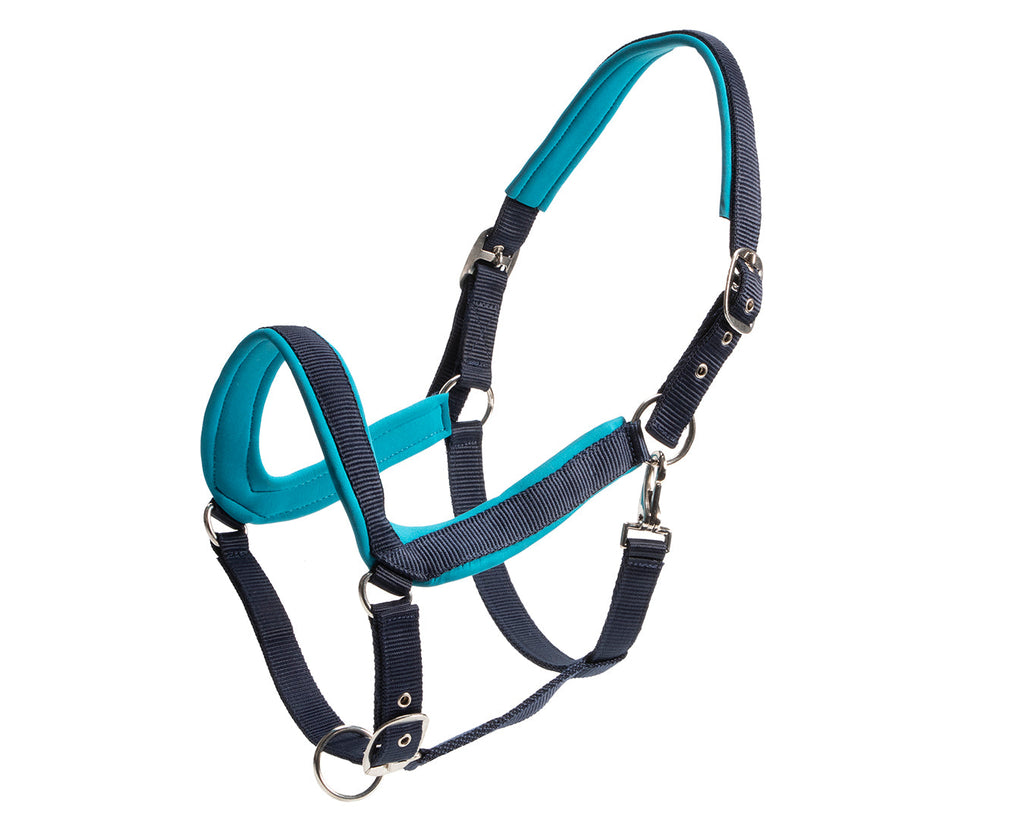 Rancher Neoprene Padded Halter - Navy & Blue