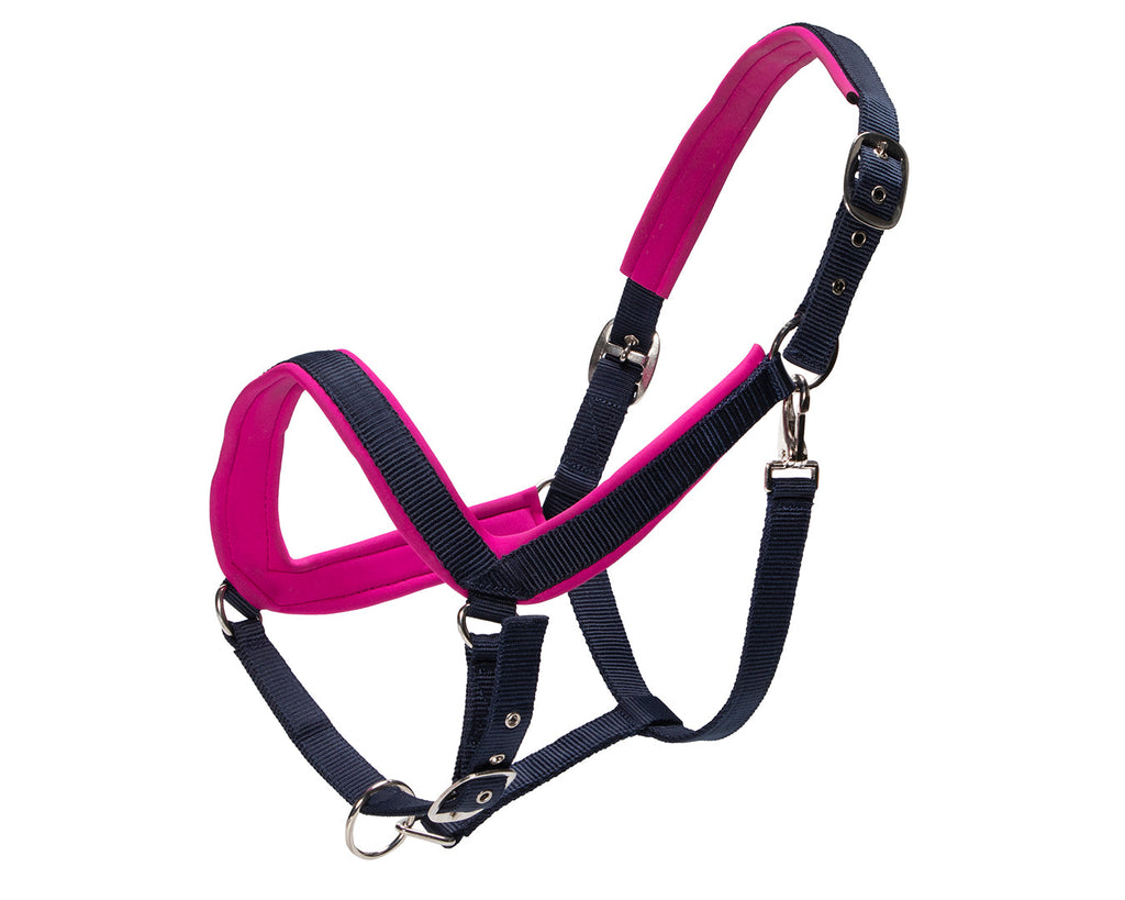 Rancher Neoprene Padded Halter: A comfortable and durable horse halter with padded neoprene material for extra comfort during riding or training sessions