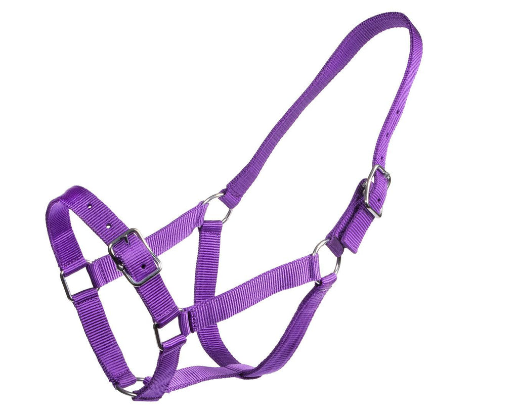 Rancher Stable Halter