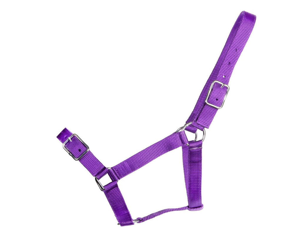Rancher Stable Halter