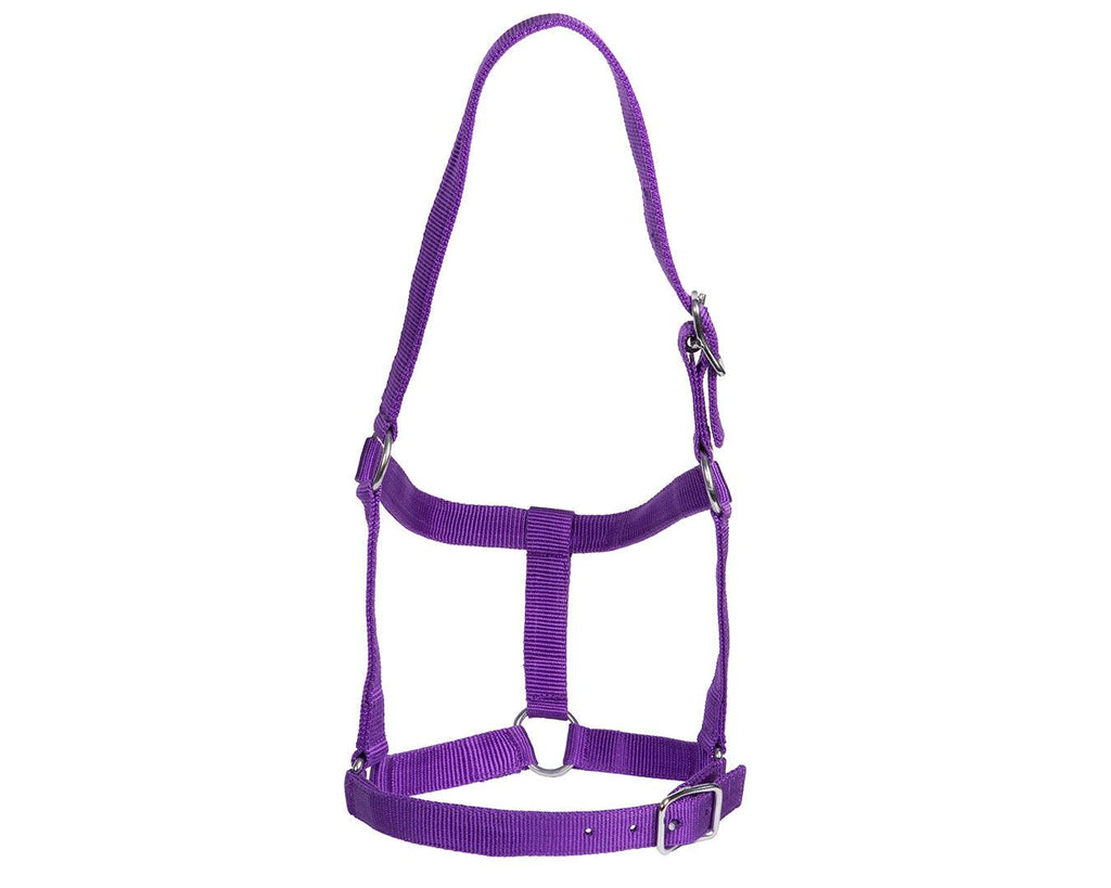 Rancher Stable Halter