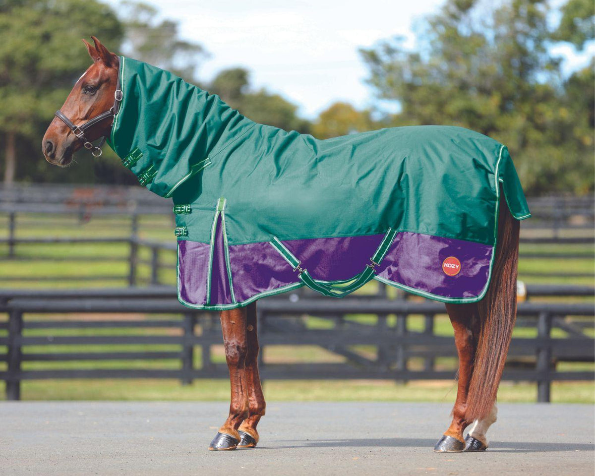 Kozy 1200D Ripstop Horse Rug Combo Purple & Green Horse Winter Rugs