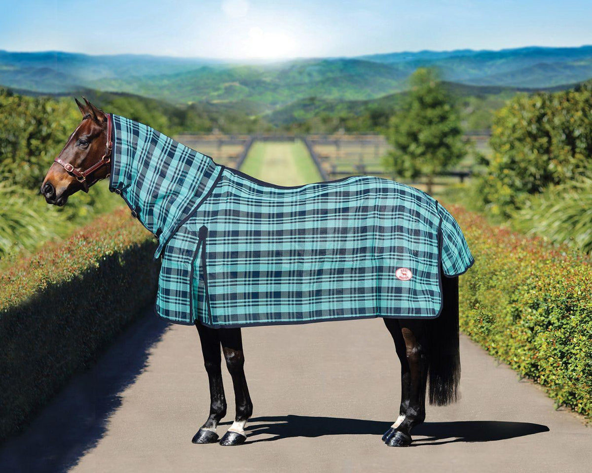 Kool Master PVC Shade Mesh Horse Rug Combo | Summer Rugs – Greg Grant ...