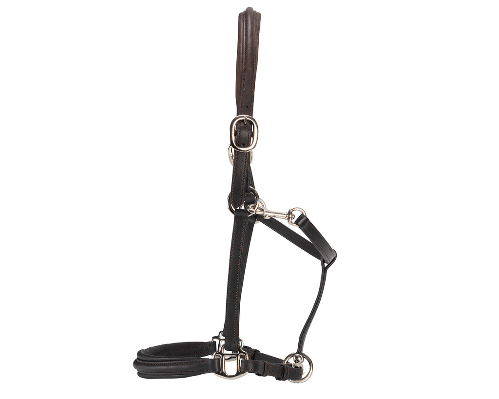 double Leather Halter Crafted from the finest quality, soft leather 