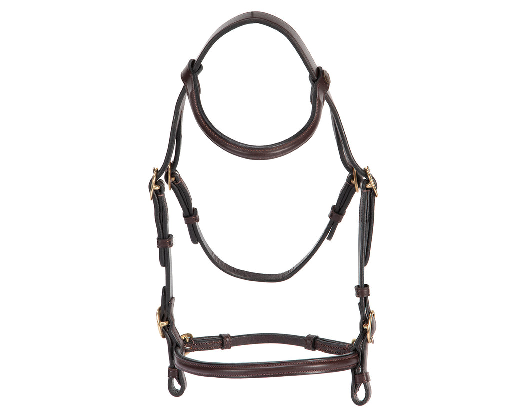 Hansome In-Hand Show Bridle