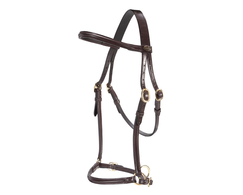 Hansome In-Hand Halter for showing horses & ponies