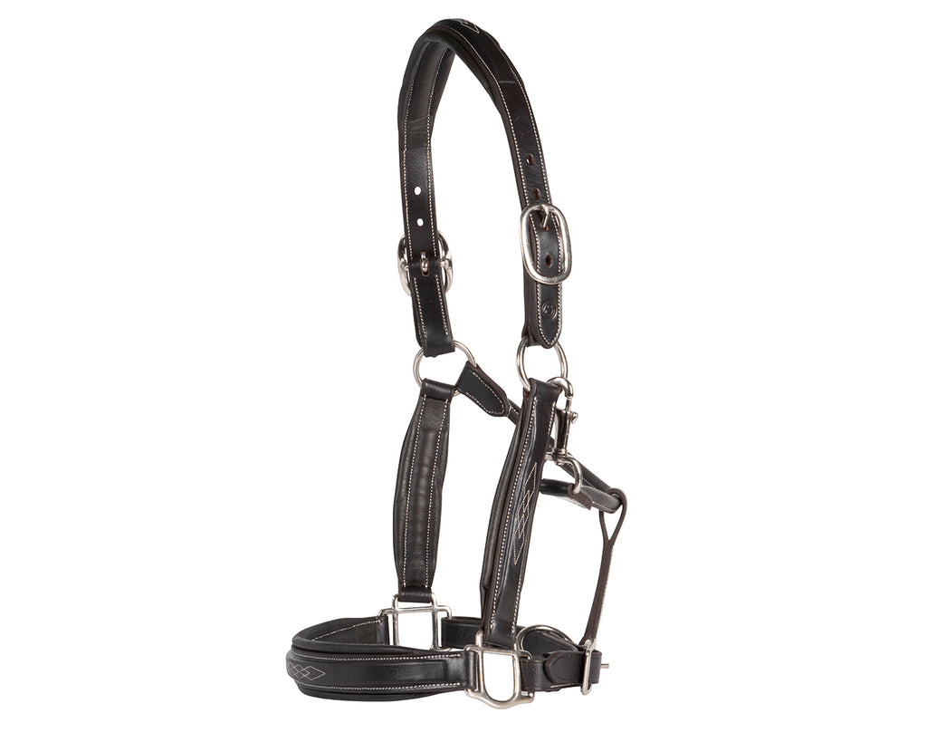 Sterling Double Halter with Stitched Noseband
