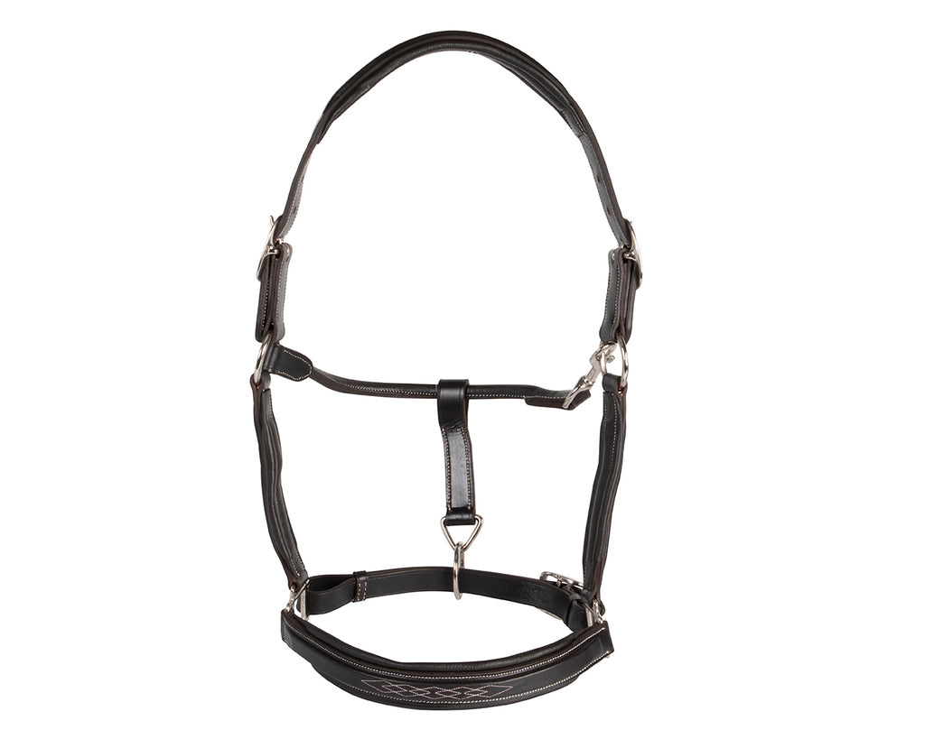 Sterling Double Halter with Stitched Noseband
