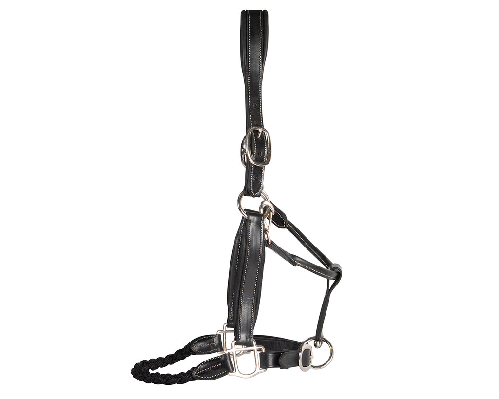 Sterling Double Halter with Rope Noseband