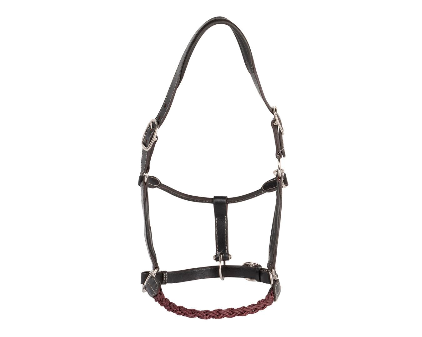 Sterling Double Halter with Rope Noseband | Halters & Lead Ropes – Greg ...